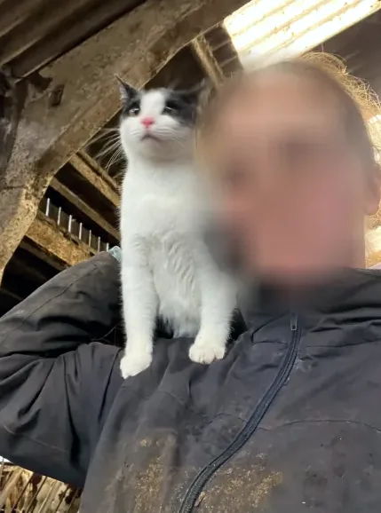 Manon, 23